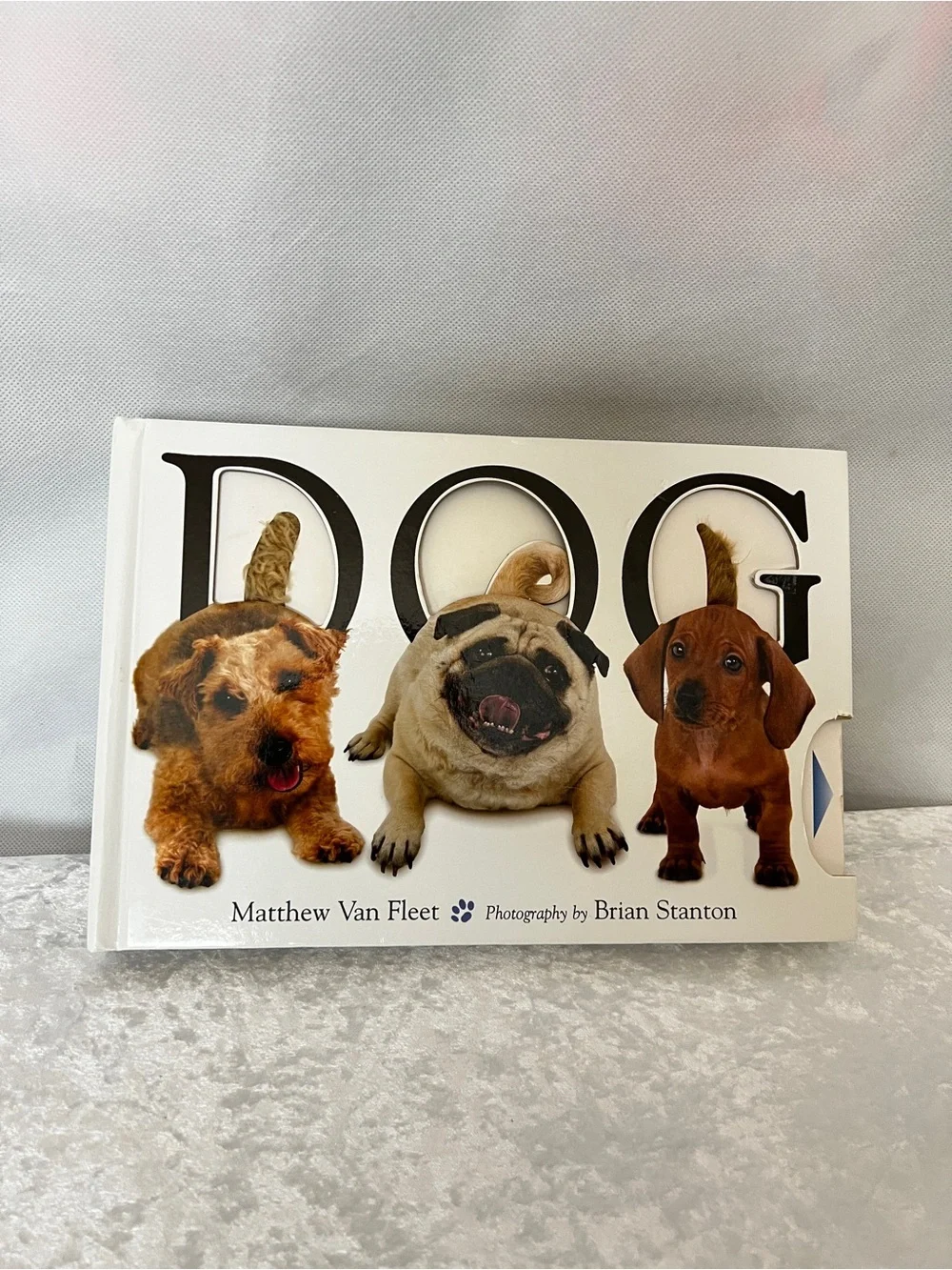 Dog Book by Matthew Van Fleet Doggone Fun for Little Ones kids